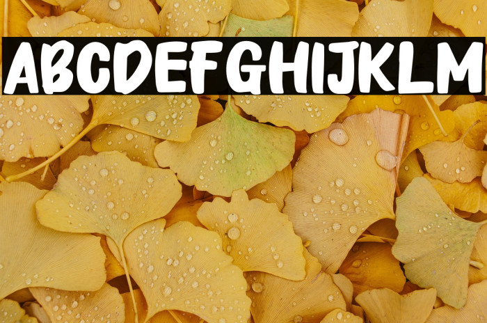 Take Looks Example 1