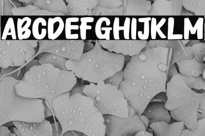 Take Looks फ़ॉन्ट examples