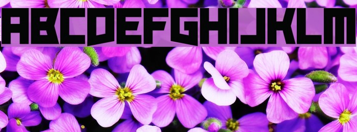 Take Me Out Font examples