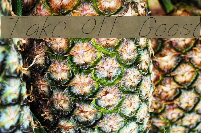 Take Off, Goose Font examples