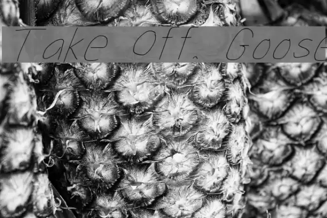Take Off, Goose Font examples