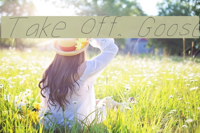 Take Off, Goose Font examples