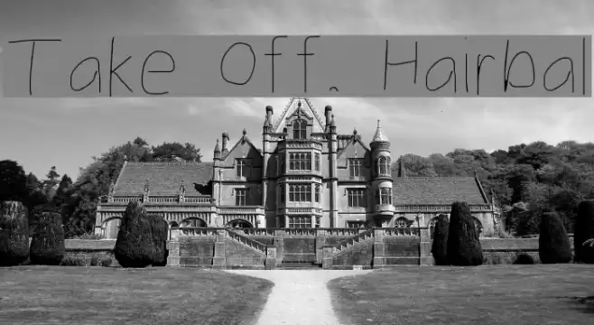 Take Off, Hairball Font examples