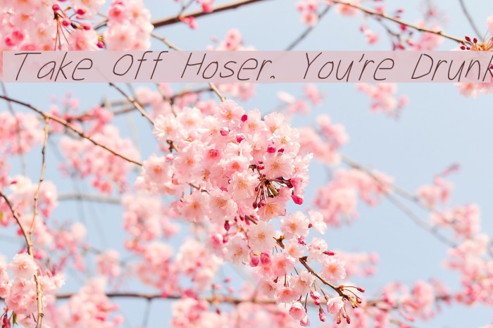 Take Off Hoser, You're Drunk Font examples