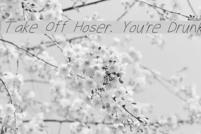 Take Off Hoser, You're Drunk  examples