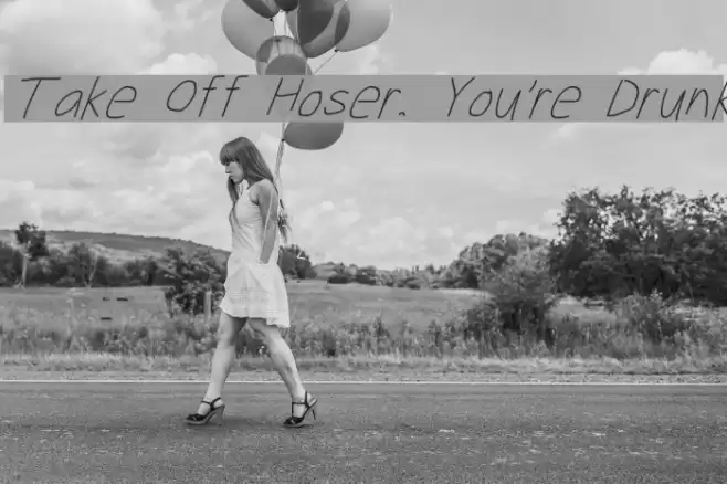 Take Off Hoser, You're Drunk  examples
