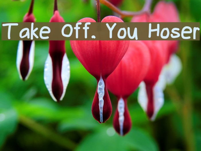 Take Off, You Hoser Font examples