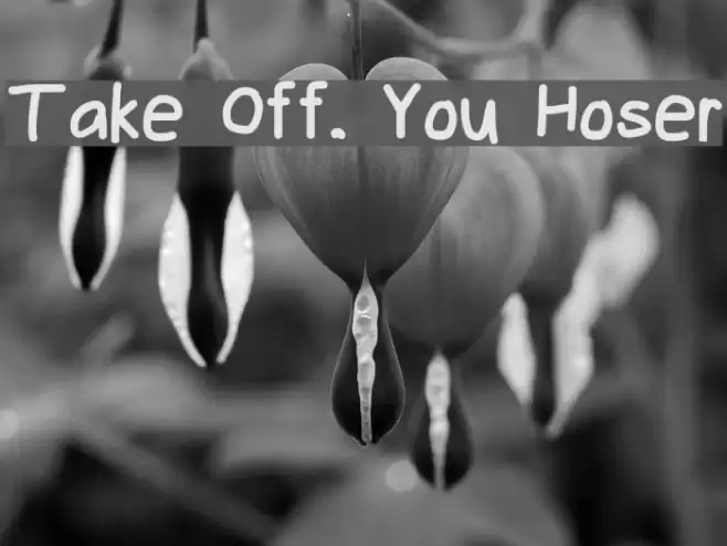 Take Off, You Hoser Fuentes examples