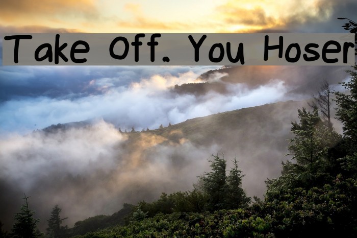 Take Off, You Hoser Font examples