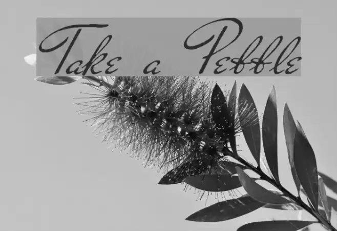 Take a Pebble フォント examples