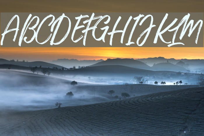 TakeEasyDEMO Font examples