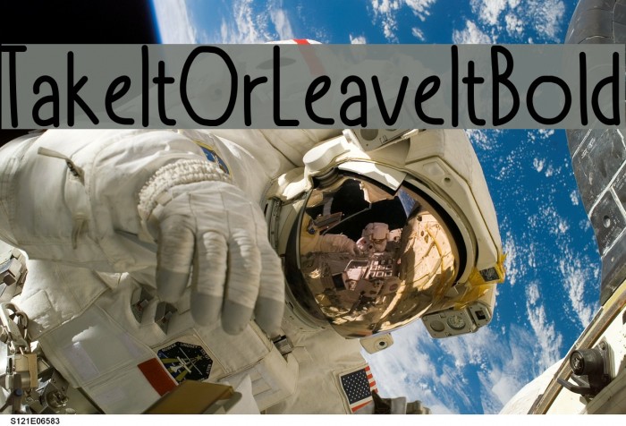 TakeItOrLeaveItBold Font examples
