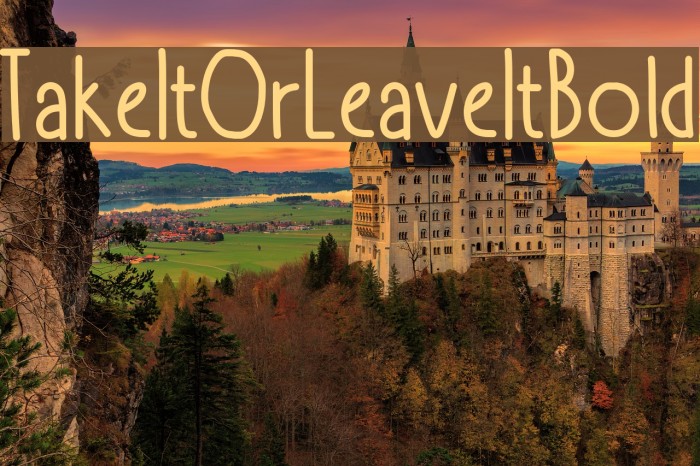 TakeItOrLeaveItBold Font examples