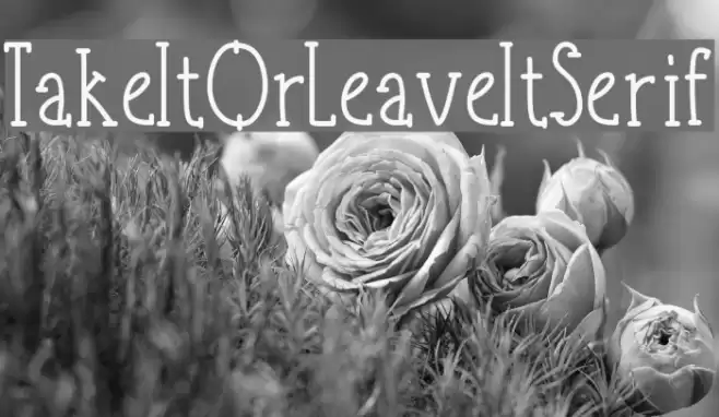 TakeItOrLeaveItSerif Font examples