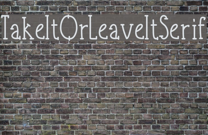 TakeItOrLeaveItSerif Example 3