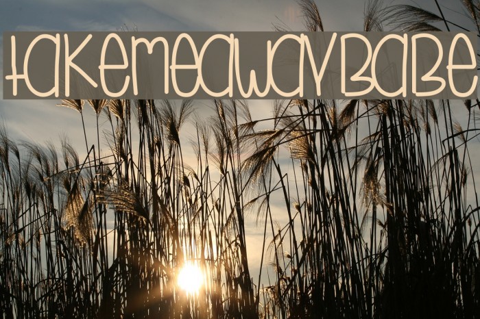 TakeMeAwayBabe Font examples