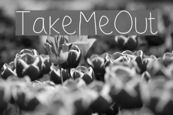 TakeMeOut Font examples