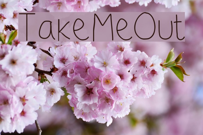 TakeMeOut Font examples