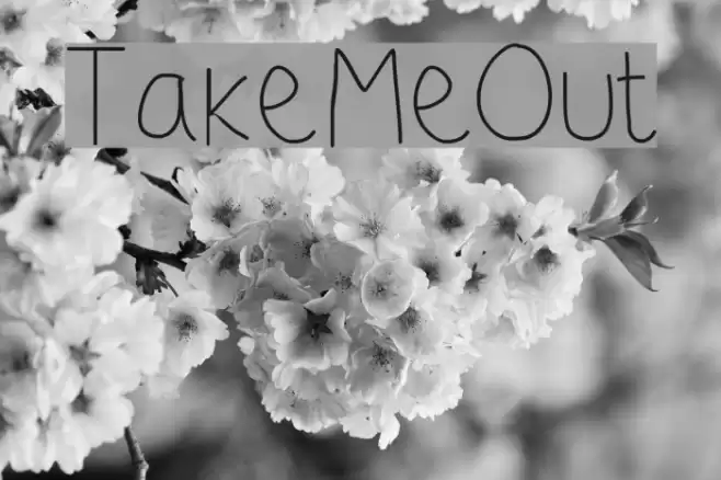 TakeMeOut Font examples