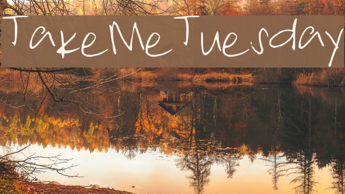 TakeMeTuesday Font examples