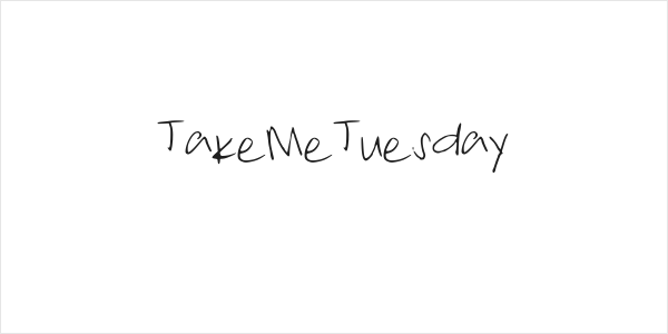 TakeMeTuesday Logo