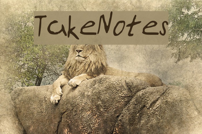 TakeNotes Font examples