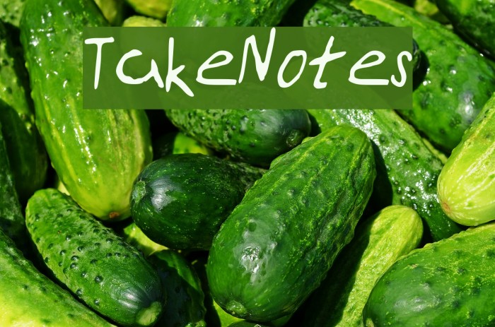 TakeNotes Font examples
