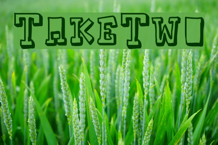 TakeTwo Font examples