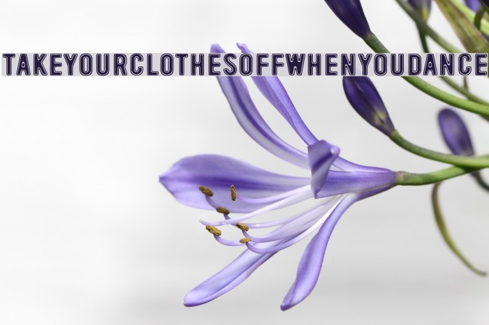 TakeYourClothesOffWhenYouDance Font examples