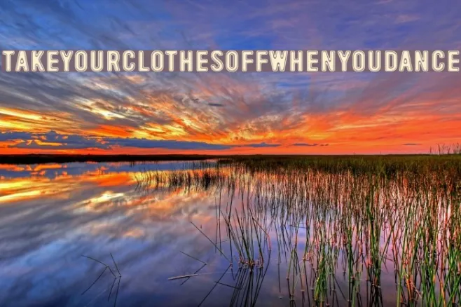 TakeYourClothesOffWhenYouDance Example 2
