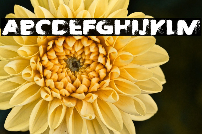 Taken by Train Example 1