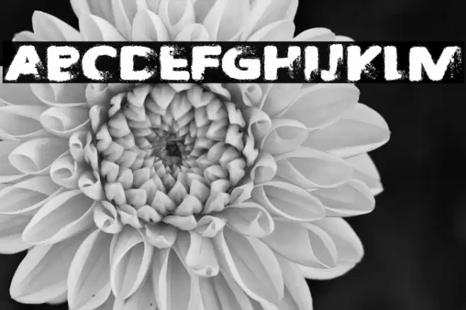 Taken by Train Font examples