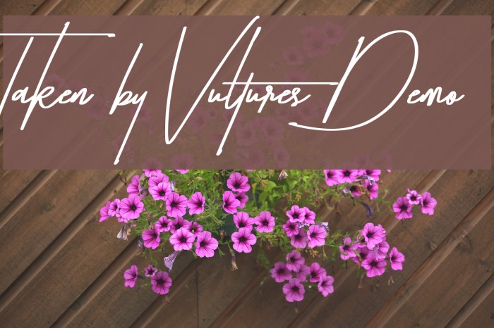Taken by Vultures Demo Font examples