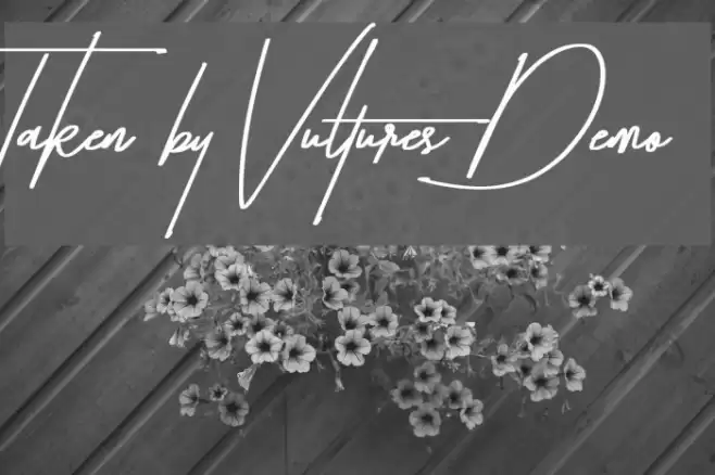Taken by Vultures Demo Font examples