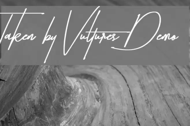 Taken by Vultures Demo Font examples