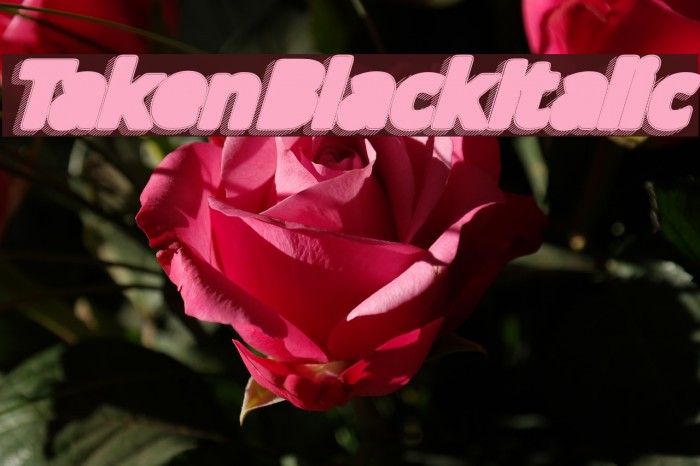 TakenBlackItalic फ़ॉन्ट examples