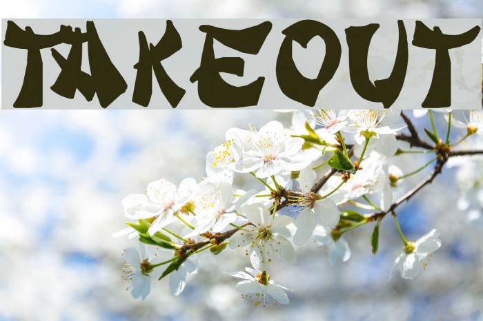 Takeout Font examples