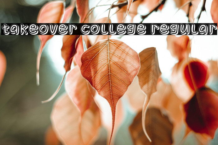 Takeover College Regular Example 3