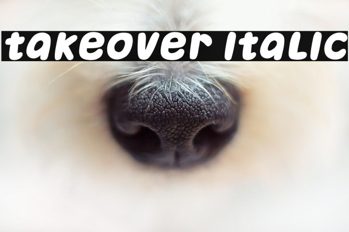 Takeover Italic Example 1