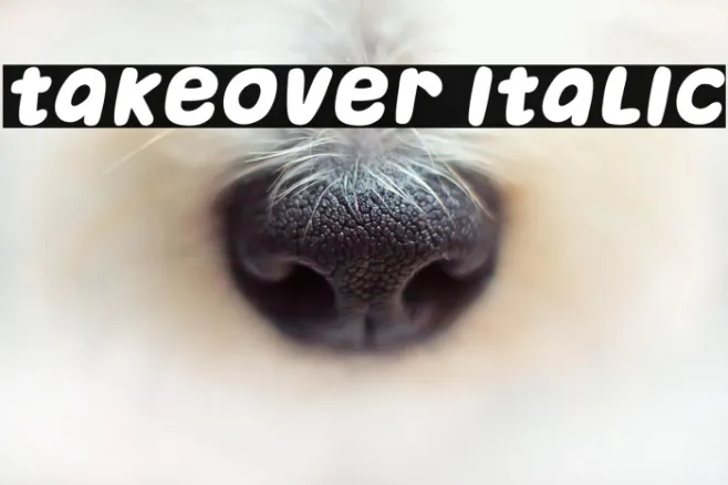 Takeover Italic Example 1