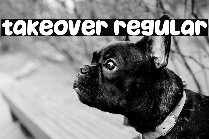 Takeover Regular Example 3