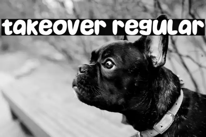 Takeover Regular Font examples