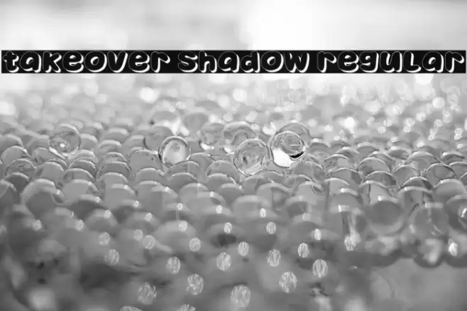 Takeover Shadow Regular Caratteri examples