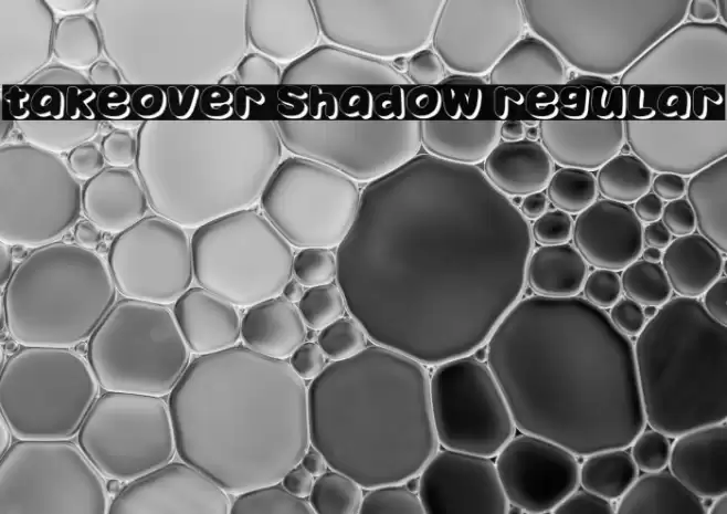 Takeover Shadow Regular Caratteri examples