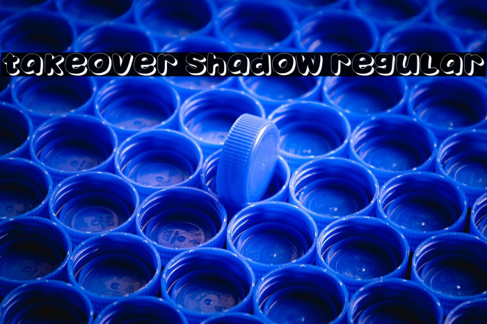 Takeover Shadow Regular Example 3