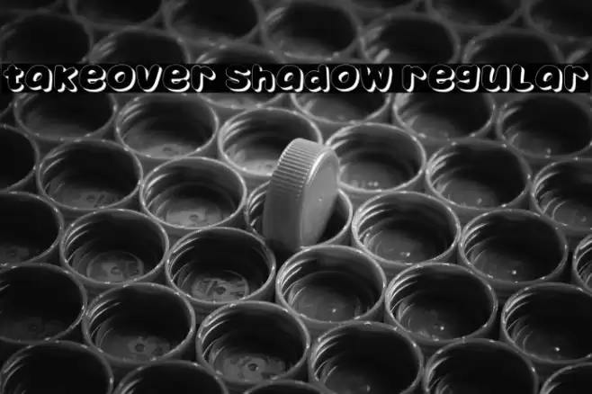 Takeover Shadow Regular Caratteri examples
