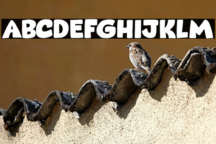 Takeshi DEMO Regular Example 1