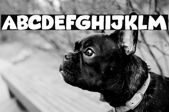 Takeshi DEMO Regular Example 2