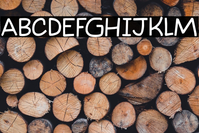 Takeshi Lite DEMO Regular Example 3