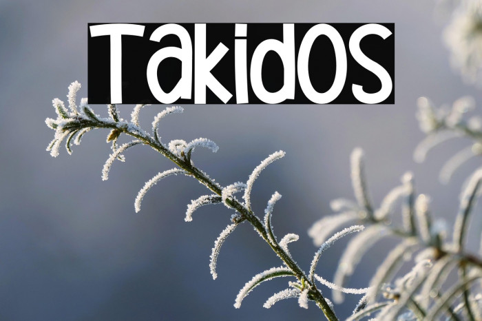 Takidos Example 3